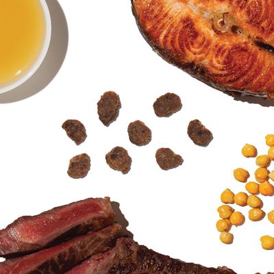 Show full view: The Honest Kitchen Human Grade Surf & Turf Meaty Littles Slow Roasted Beef & Salmon Recipe Dog Treats, 4-oz bag slide 5 of 12