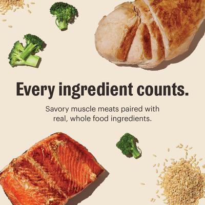 Show full view: The Honest Kitchen Human Grade One Pot Stew Simmered Salmon & Chicken Stew Wet Dog Food, 10.5-oz, case of 6 slide 8 of 9