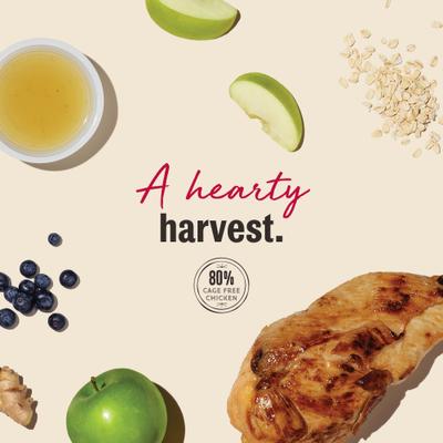 Show full view: The Honest Kitchen Human Grade Jerky Harvest Mini Bars Chicken Recipe with Apples & Blueberries Dog Treats, 4-oz bag slide 8 of 12