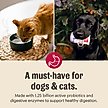 Show in main carousel: The Honest Kitchen Daily Boosters Instant Goat's Milk with Probiotics for Dogs, 5.2-oz jar slide 5 of 11