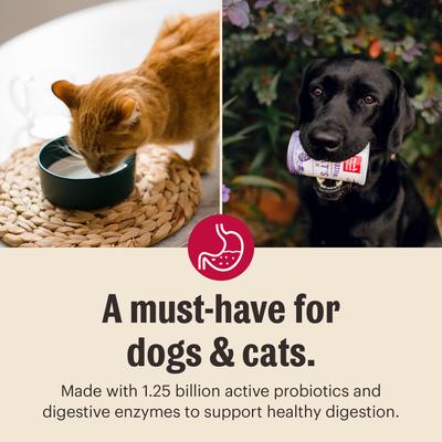 Show full view: The Honest Kitchen Human Grade Daily Boosters Instant Goat's Milk with Probiotics for Dogs & Cats, 5.2-oz jar slide 6 of 11