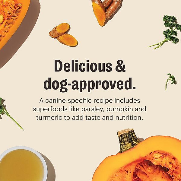 Show full view: The Honest Kitchen Daily Boosters Turkey Bone Broth with Turmeric for Dogs, 3.6-oz jar slide 6 of 12