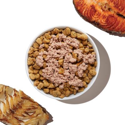 Show full view: The Honest Kitchen Human Grade Meal Booster 99% Salmon & Pollock Wet Dog Food Topper, 5.5-oz, case of 12 slide 5 of 11