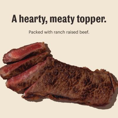 Show full view: The Honest Kitchen Human Grade Meal Booster 99% Beef Wet Dog Food Topper, 5.5-oz, case of 12 slide 8 of 10