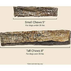 The Honest Kitchen Beams Ocean Chews Cod Fish Skins Dehydrated Dog Treats, Large, 5.5-oz bag