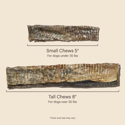 Show full view: The Honest Kitchen Human Grade Beams Ocean Chews Cod Fish Skins Dehydrated Dog Treats, Large, 5.5-oz bag slide 9 of 11