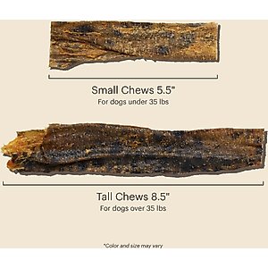 The Honest Kitchen Beams Ocean Chews Wolfish Skins Dehydrated Dog Treats, Large, 6-oz bag