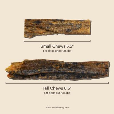 Show full view: The Honest Kitchen Human Grade Beams Ocean Chews Wolfish Skins Dehydrated Dog Treats, Large, 6-oz bag slide 9 of 12