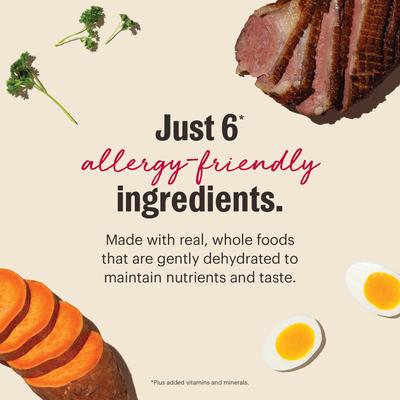 Show full view: The Honest Kitchen Human Grade Wholemade Limited Ingredient Duck & Sweet Potato Dehydrated Dog Food, 10-lb box slide 8 of 12