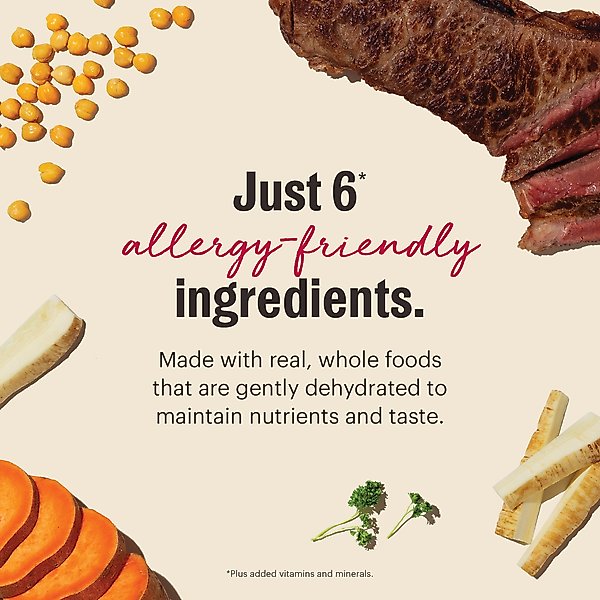 Show full view: The Honest Kitchen Wholemade Limited Ingredient Beef Dehydrated Dog Food, 10-lb box slide 10 of 13