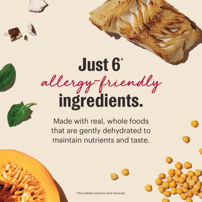 Show full view: The Honest Kitchen Human Grade Wholemade Limited Ingredient Fish Dehydrated Dog Food, 10-lb box slide 9 of 13