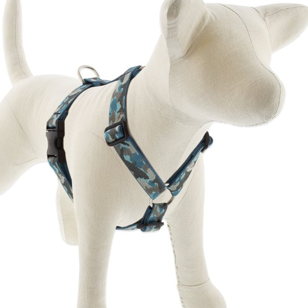 LupinePet Sand Shark Adjustable Dog Harness
