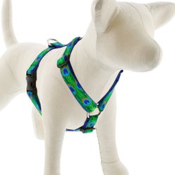 LupinePet Tail Feathers Adjustable Dog Harness, Medium: 20 to 32-in chest