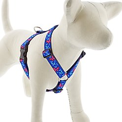 LupinePet Social Butterfly Adjustable Dog Harness, X-Large: 36 to 44-in chest