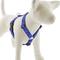 Show in main carousel: LupinePet Social Butterfly Adjustable Dog Harness, Medium: 20 to 32-in chest slide 1 of 6