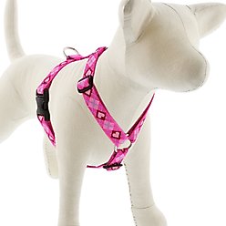 LupinePet Puppy Love Adjustable Dog Harness, Medium: 20 to 32-in chest