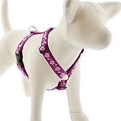 LupinePet Rose Garden Adjustable Dog Harness, Large: 24 to 38-in chest