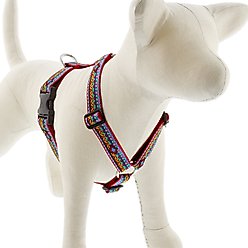 LupinePet El Paso Adjustable Dog Harness, Large: 24 to 38-in chest