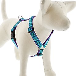 LupinePet Rain Song Adjustable Dog Harness, Large: 24 to 38-in chest