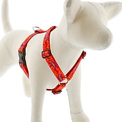 LupinePet Go Go Gecko Adjustable Dog Harness, X-Large: 36 to 44-in chest