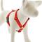 Show in main carousel: LupinePet Go Go Gecko Adjustable Dog Harness, Medium: 20 to 32-in chest slide 1 of 6