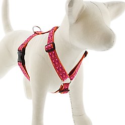 LupinePet Alpen Glow Adjustable Dog Harness, Medium: 20 to 32-in chest slide 1 of 6