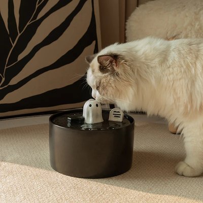 Happy & Polly Happy & Polly Ghost-Themed Ceramic Cat Water Fountain, Black, 50-oz