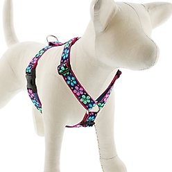 LupinePet Flower Power Adjustable Dog Harness, Medium: 20 to 32-in chest