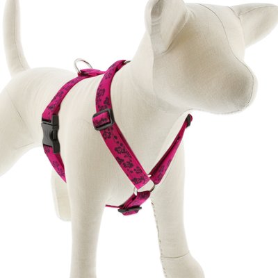 LupinePet LupinePet Plum Blossom Adjustable Dog Harness, Large: 24 to 38-in chest