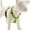 Show in main carousel: LupinePet Sunflowers Adjustable Dog Harness, Medium: 20 to 32-in chest slide 1 of 7