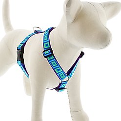 LupinePet Sea Glass Adjustable Dog Harness, Large: 24 to 38-in chest slide 1 of 6