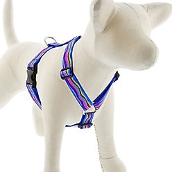 LupinePet Ripple Creek Adjustable Dog Harness, X-Large: 36 to 44-in chest