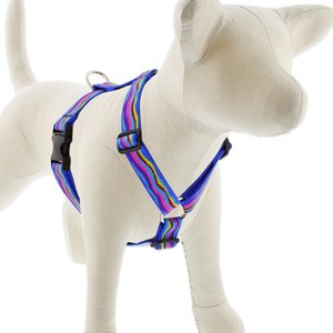LupinePet Ripple Creek Adjustable Dog Harness, Large: 24 to 38-in chest