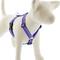 Show in main carousel: LupinePet Ripple Creek Adjustable Dog Harness, Medium: 20 to 32-in chest slide 1 of 7