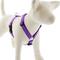 Show in main carousel: LupinePet Jelly Roll Adjustable Dog Harness, Large: 24 to 38-in chest slide 1 of 6