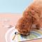 Show in main carousel: Happy & Polly Rainbow Waterproof Cat & Dog Food Mat slide 3 of 9