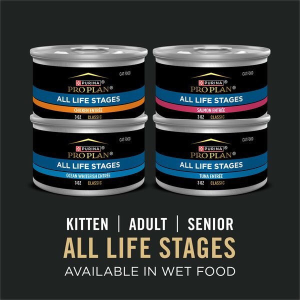 Purina Pro Plan High Protein Chicken & Rice Dry Cat Food