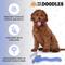 Show in main carousel: We Love Doodles Curved Grooming Slicker Dog Brush, Medium slide 4 of 8