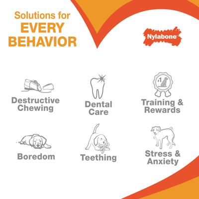 Show full view: Nylabone Power Chew Textured Bone 70th Birthday Dog Toy, Orange Swirl Chicken, X-Small slide 8 of 11