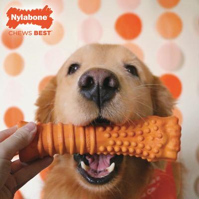 Show full view: Nylabone Strong Chew Textured Knuckle Bone 70th Birthday Dog Toy, Orange Swirl Bacon & Cheese, X-Large slide 3 of 9