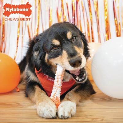 Show full view: Nylabone Power Chew Textured Bone 70th Birthday Dog Toy, Orange Swirl Chicken, X-Large slide 3 of 10