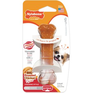 Nylabone Power Chew Textured Bone 70th Birthday Dog Toy, Orange Swirl Chicken, X-Small