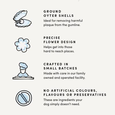 Show full view: Crumps' Naturals Plaque Busters with Pumpkin Spice Dental Dog Treats, 9.5-oz bag, 10 count slide 6 of 11