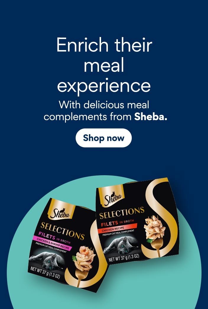 Enrich their meal experience with delicious meal complements from Sheba. Shop now.