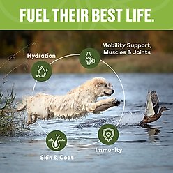 Furvor Advanced Mobility Beef Concentrated Digestive Health High-Protein Liquid Dog Food Topper, 0.64-oz pouch, 18 count slide 2 of 8