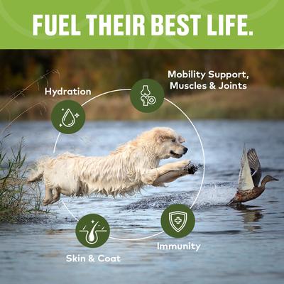 Show full view: Furvor Advanced Mobility Beef Concentrated Digestive Health High-Protein Liquid Dog Food Topper, 16-oz bottle slide 6 of 13