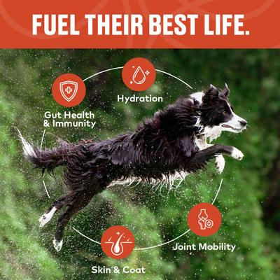 Show full view: Furvor Combo Beef Chicken Concentrated Digestive Health High-Protein Liquid Dog Food Topper, 16-oz bottle, 2 count slide 6 of 13