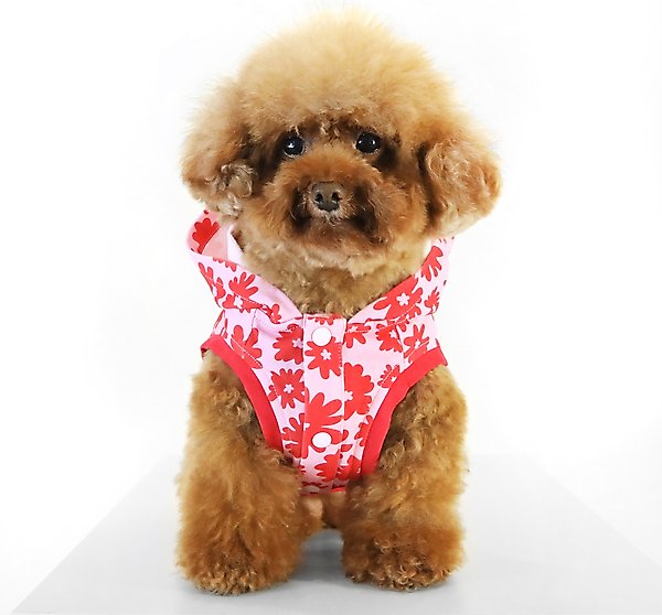 Show full view: florence by mills Florence Dog Hoodie, Red, Large slide 2 of 5