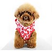 Show in main carousel: florence by mills Florence Dog Hoodie, Red, Large slide 2 of 5