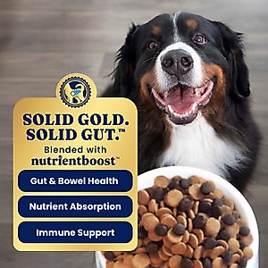 Solid Gold Weight Control Gut Health Real Chicken & Sweet Potato Grain-Free Dry Dog Food, 22-lb bag